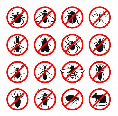 Pest Control And Harmful Insects And Rodents Set Icons — Pest Control in Sunshine Coast, QLD
